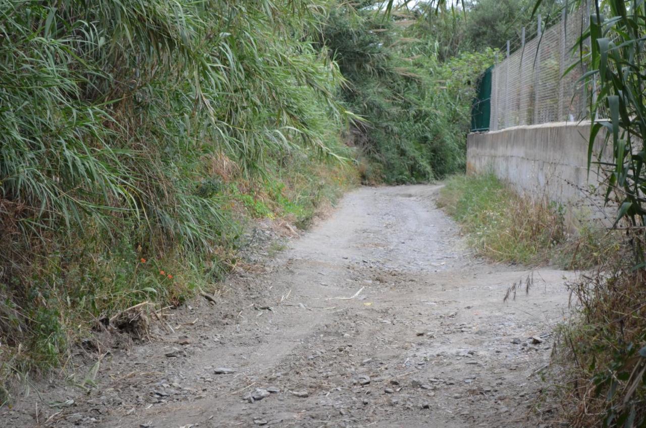 Casa Rural En Almayate Bajo 알마야테 바호 외부 사진